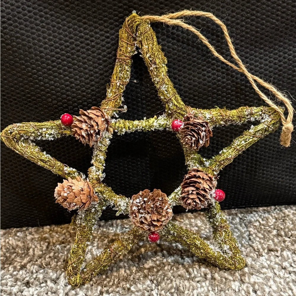 Pier 1 Rustic Twig Star & Snowflake Ornaments Michaels Fruit Pick Set of 5